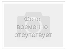 Ель сербская